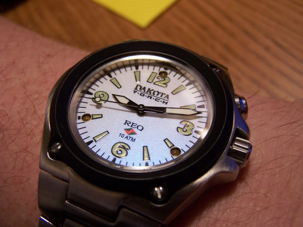 dakota steel spider watch