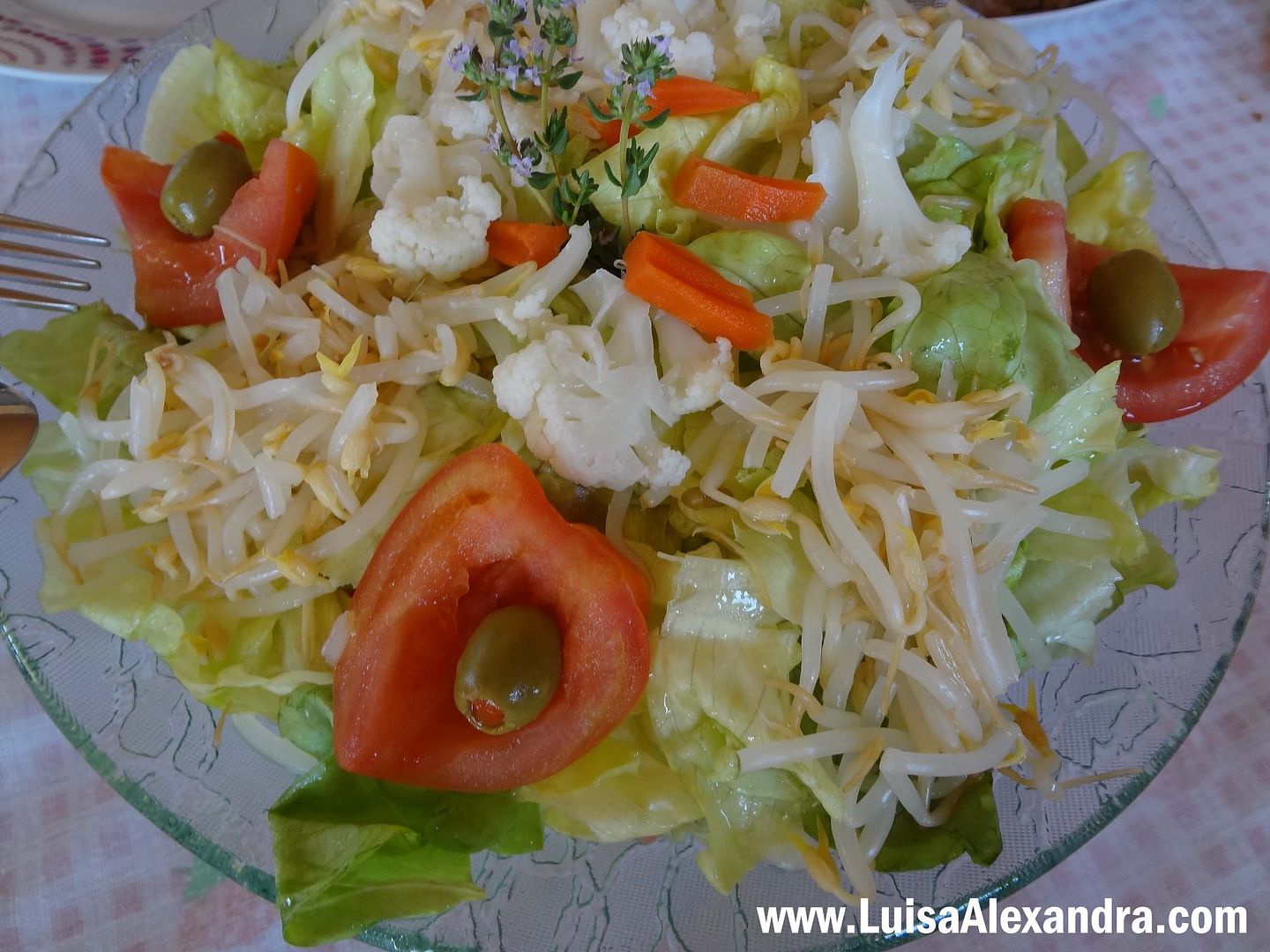 Salada Fria de Arroz com Pinhoes, Sultanas e Rebentos Soja photo file-61.jpg