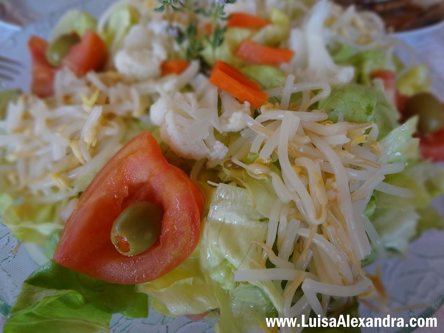 Salada Fria de Arroz com Pinhoes, Sultanas e Rebentos Soja photo file-62.jpg