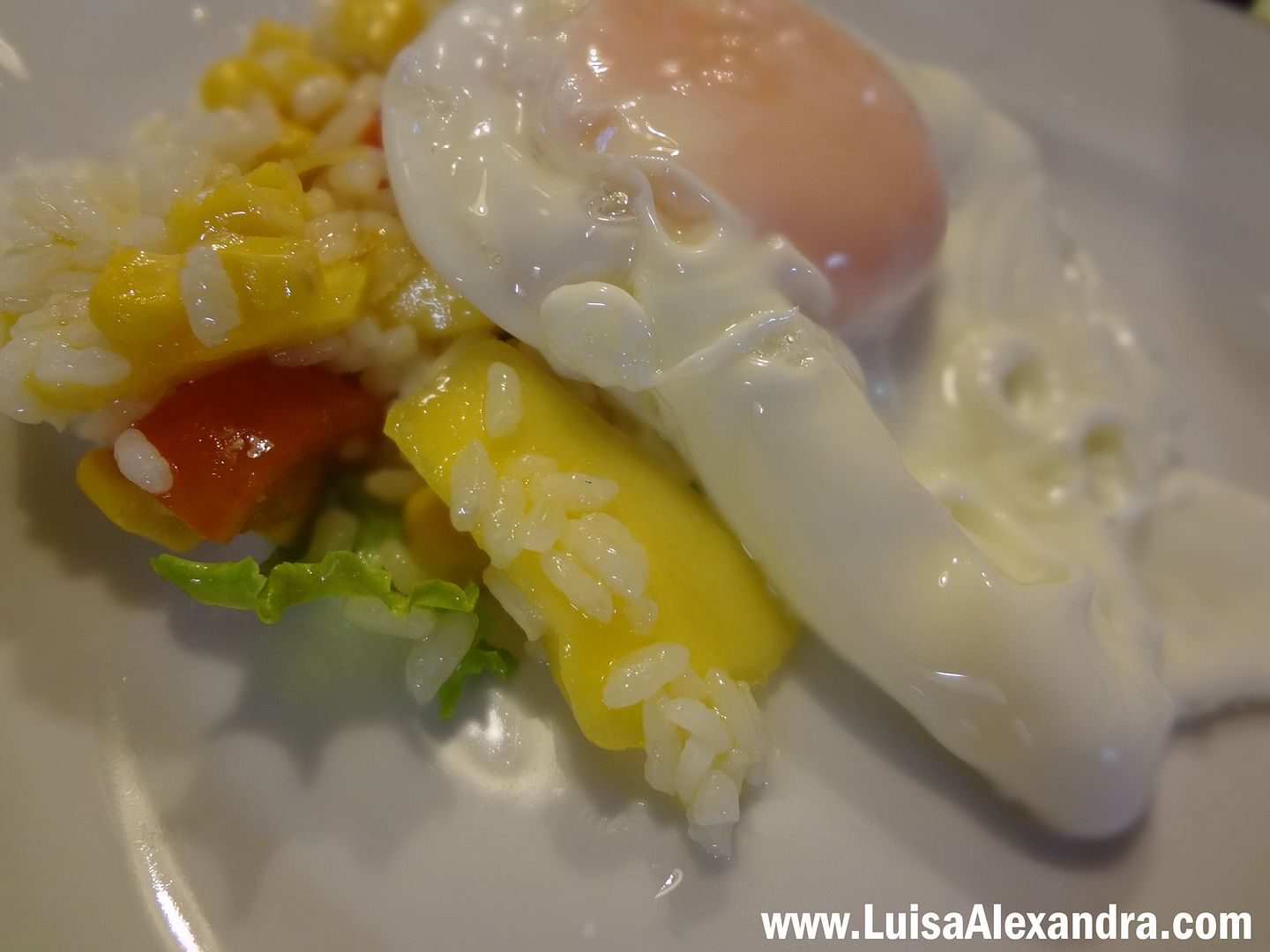 Salada de Arroz Sushi com Manga e Vinagre de Manga Acompanhada com Bifinhos de Vitela com Molho photo DSC05276.jpg