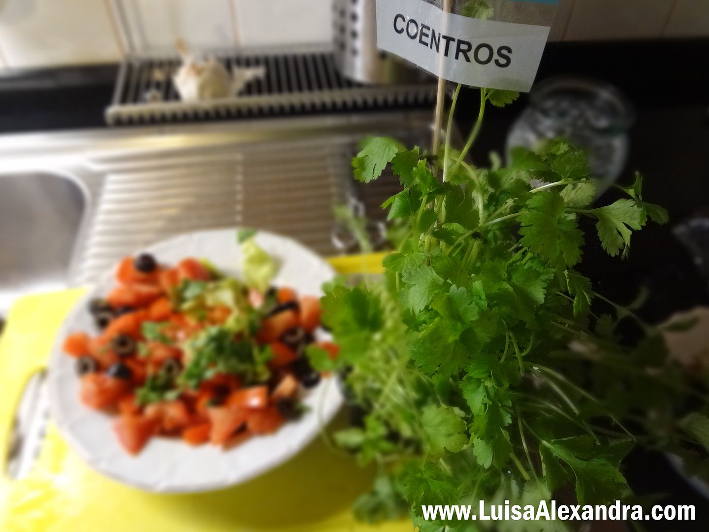 Salada Tomate com Azeitonas e Coentros photo DSC07611.jpg
