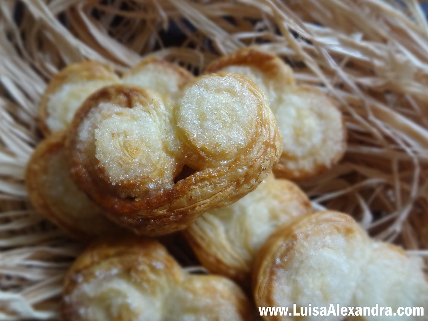 palmiers photo DSC08626.jpg