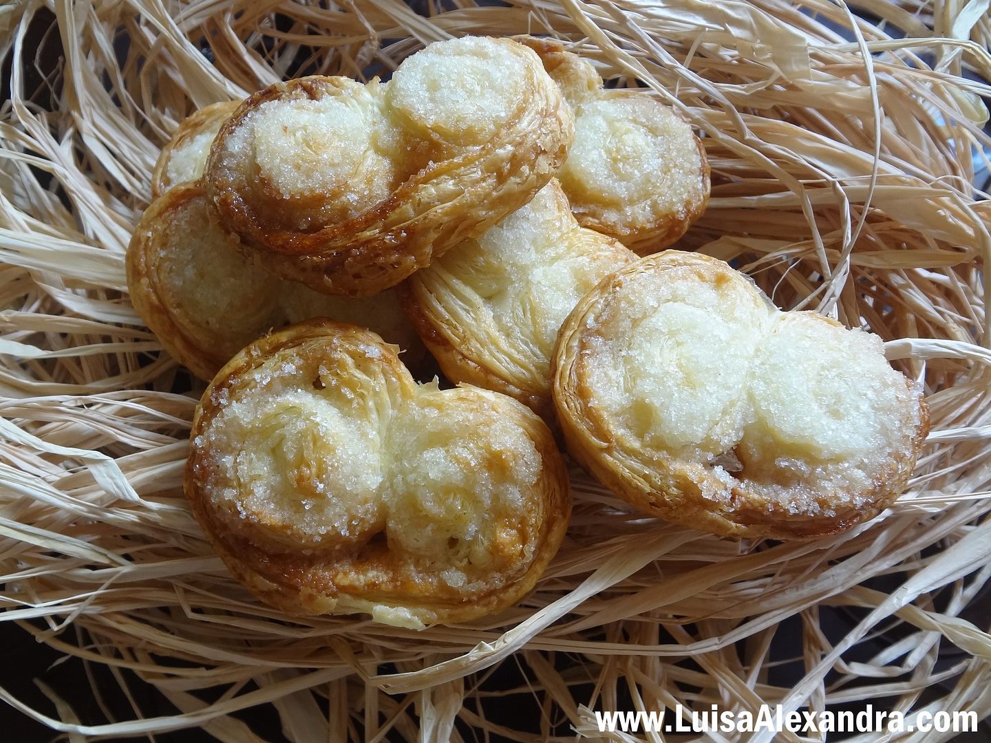 palmiers photo DSC08628.jpg