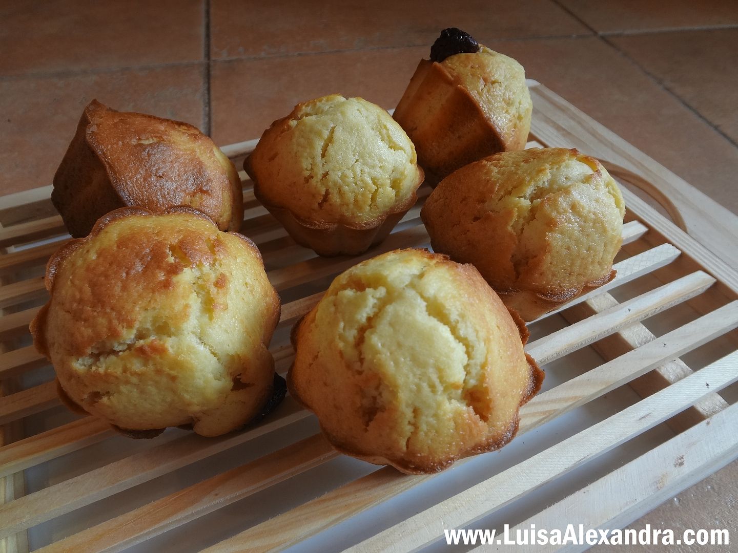 Muffins Simples photo DSC08783.jpg