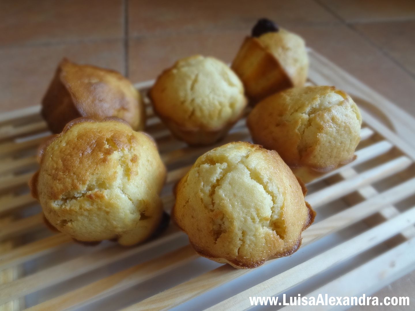 Muffins Simples photo DSC08784.jpg