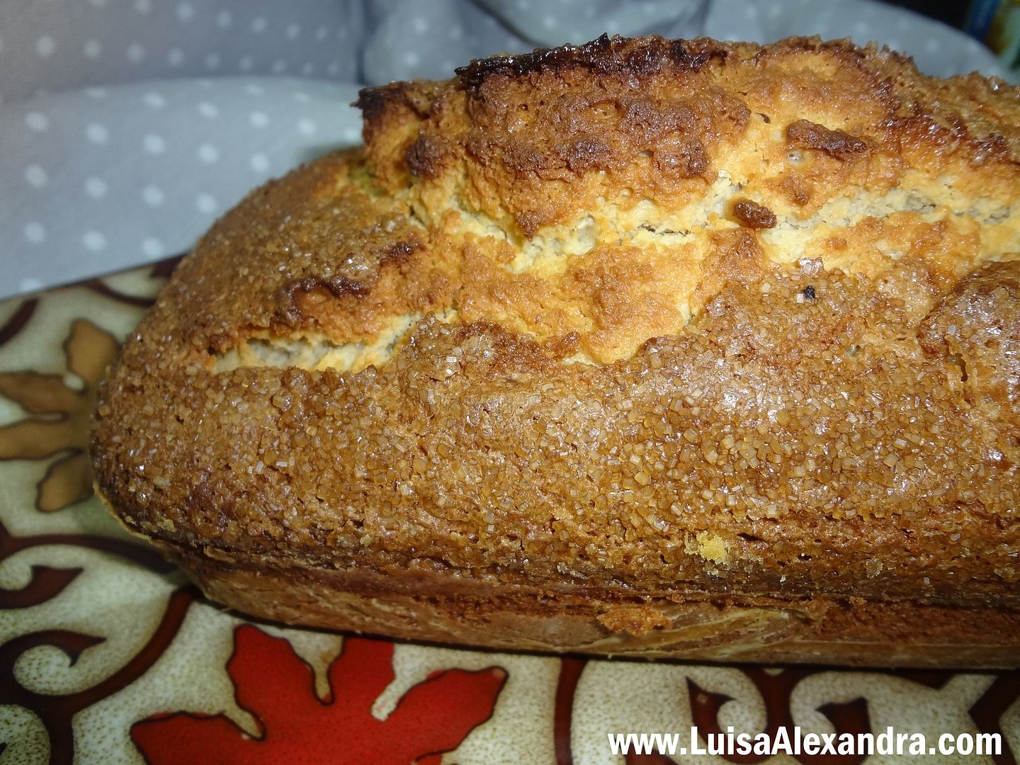 Bolo de Coco e Requeijao com Oleo de Cooo e Acucar Mascavado de Cana Integral photo DSC08794.jpg