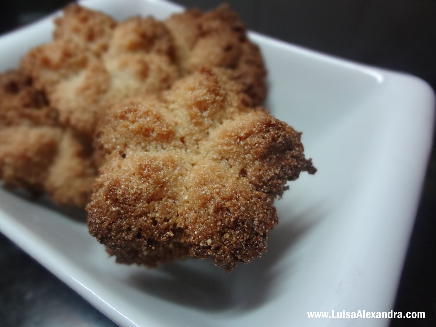 Biscoitos de Coco com Oleo de coco photo DSC00815.jpg