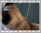 P1000161.mp4 video by RebelCode