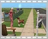 Old Man Dogs movie