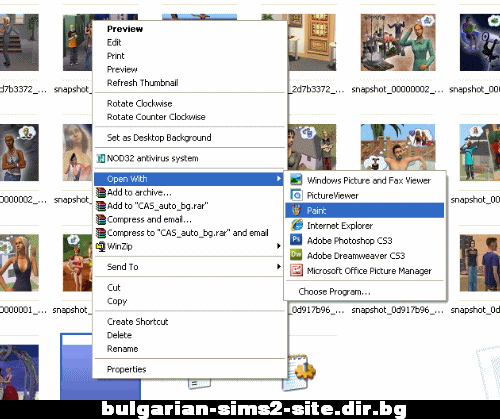 bulgarian-sims2-site.dir.bg photo 3-1.gif