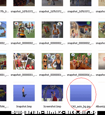 bulgarian-sims2-site.dir.bg photo 5-2.gif