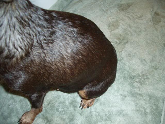 CIMG0537.jpg