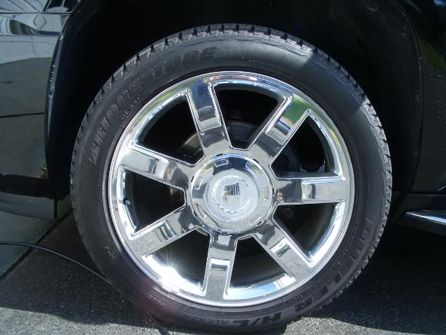 CIMG0355.jpg