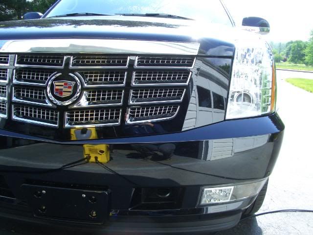 CIMG0356.jpg