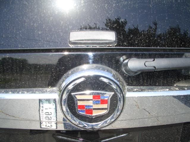 CIMG0364.jpg