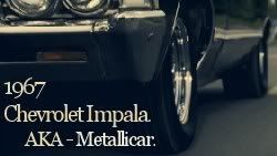 Impala Pictures, Images and Photos