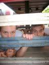 peek.jpg image by aoadmin