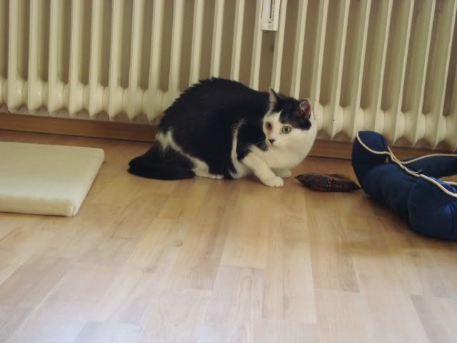 luckyboy45062.jpg