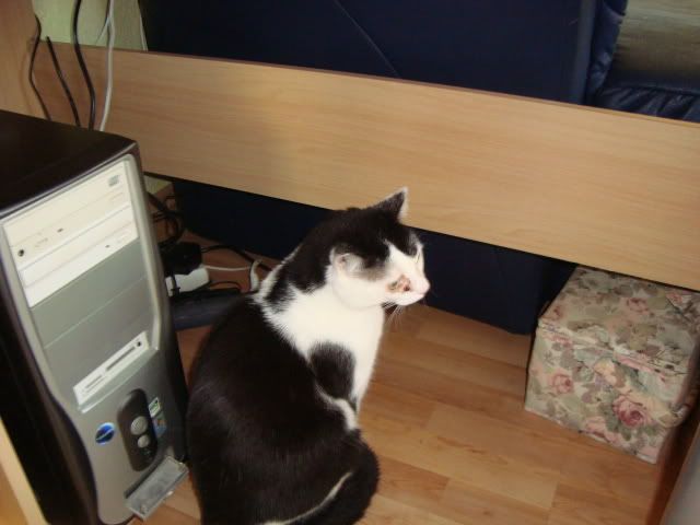 luckyboy45091.jpg
