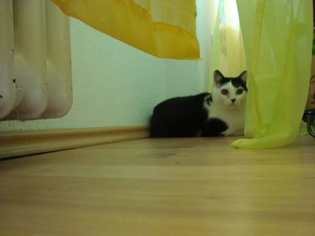 luckyboy45100.jpg