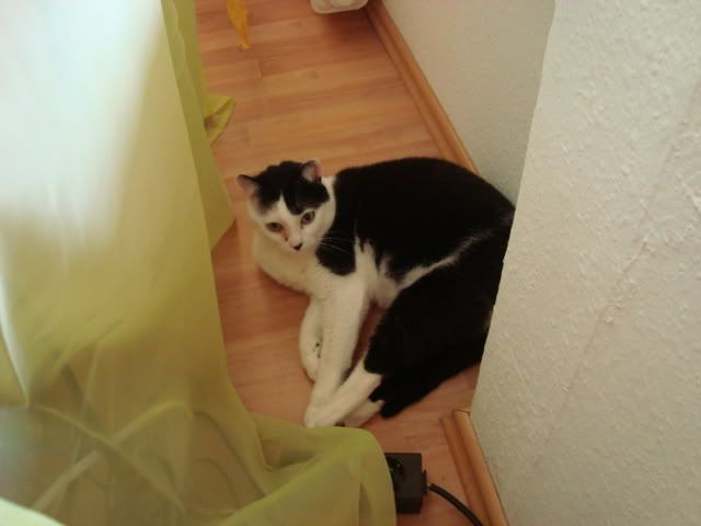 luckyboy45102.jpg