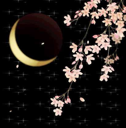 notte-primavera.gif notte primavera image by nuvoletta_graphic