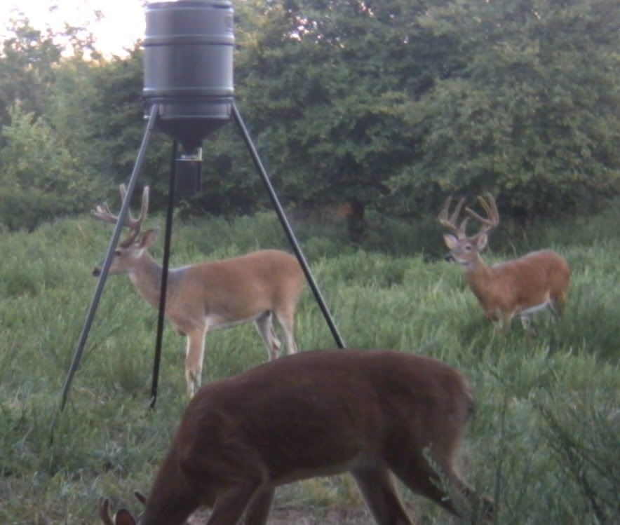 K&n archery outfitters / western ky Archery Talk Forum