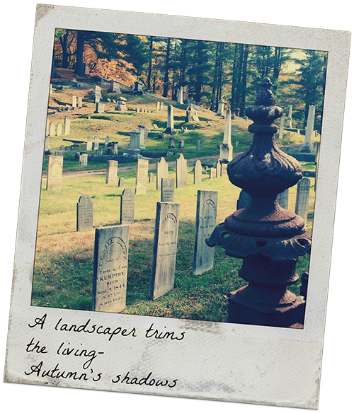 [Image: IMG_3152%20copy.png]