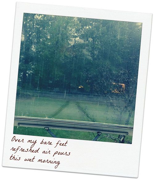 [Image: rainwindowsnap%20copy.jpg]