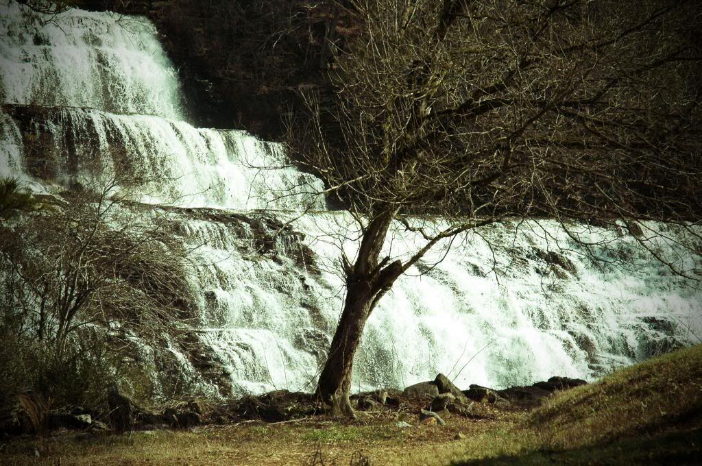 Lakeshore Waterfall 2013-2 photo Waterfall_tree_lomo_zps46daf0d9.jpg