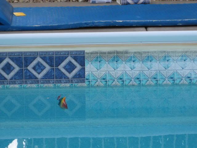 Pool004.jpg