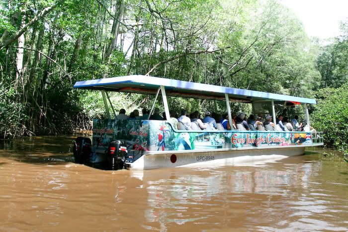 mangroveboatsmall.jpg