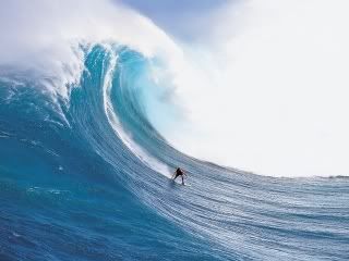 Surfing-1.jpg