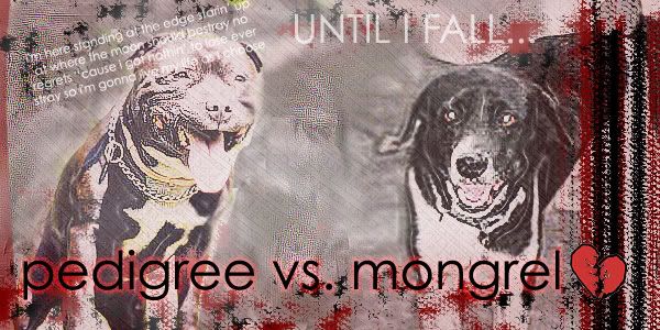 Pedigree vs. Mongrel