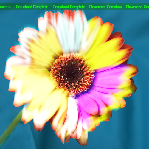 Flower.png