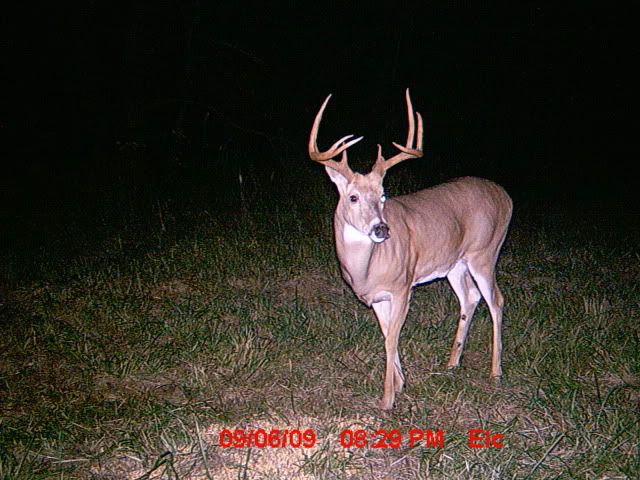 MDGC0170.jpg