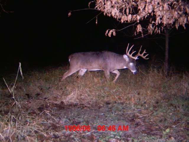 MDGC0457.jpg