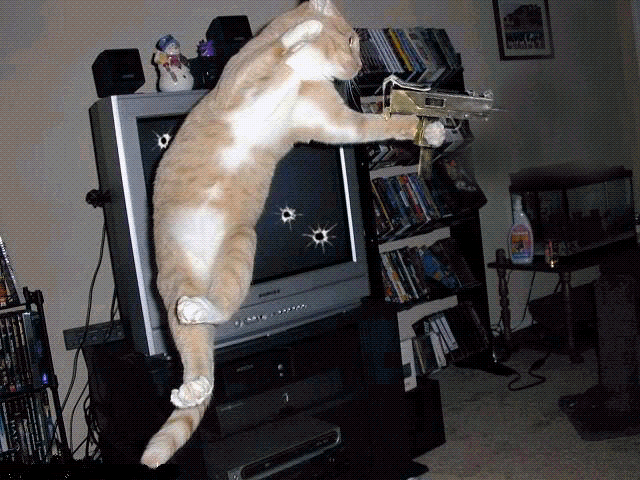 MGC1.gif?t=1296337377