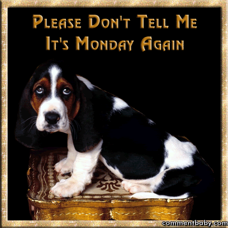 Mondaybasset.gif