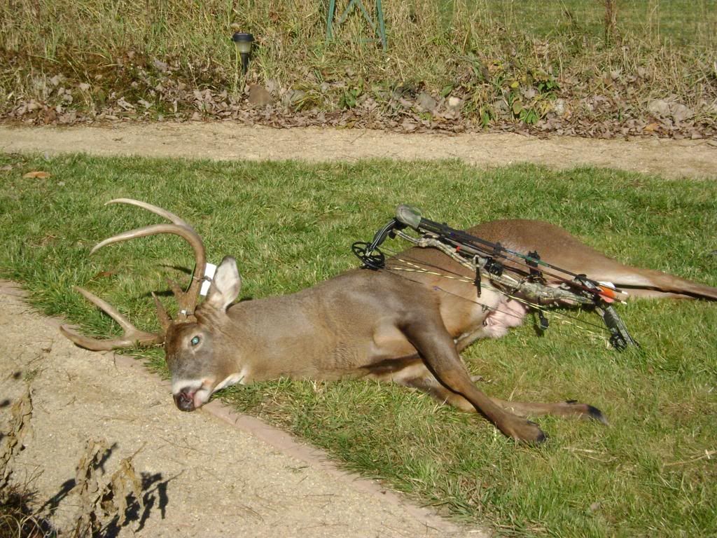 030.jpg?t=1258320130