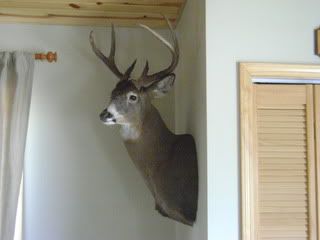 DSC00243.jpg?t=1269970309