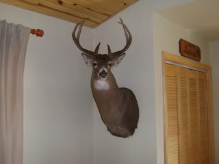 DSC00245-1.jpg?t=1269970029