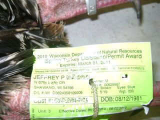 DSC00262.jpg?t=1272820049