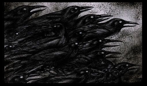 crows.jpg