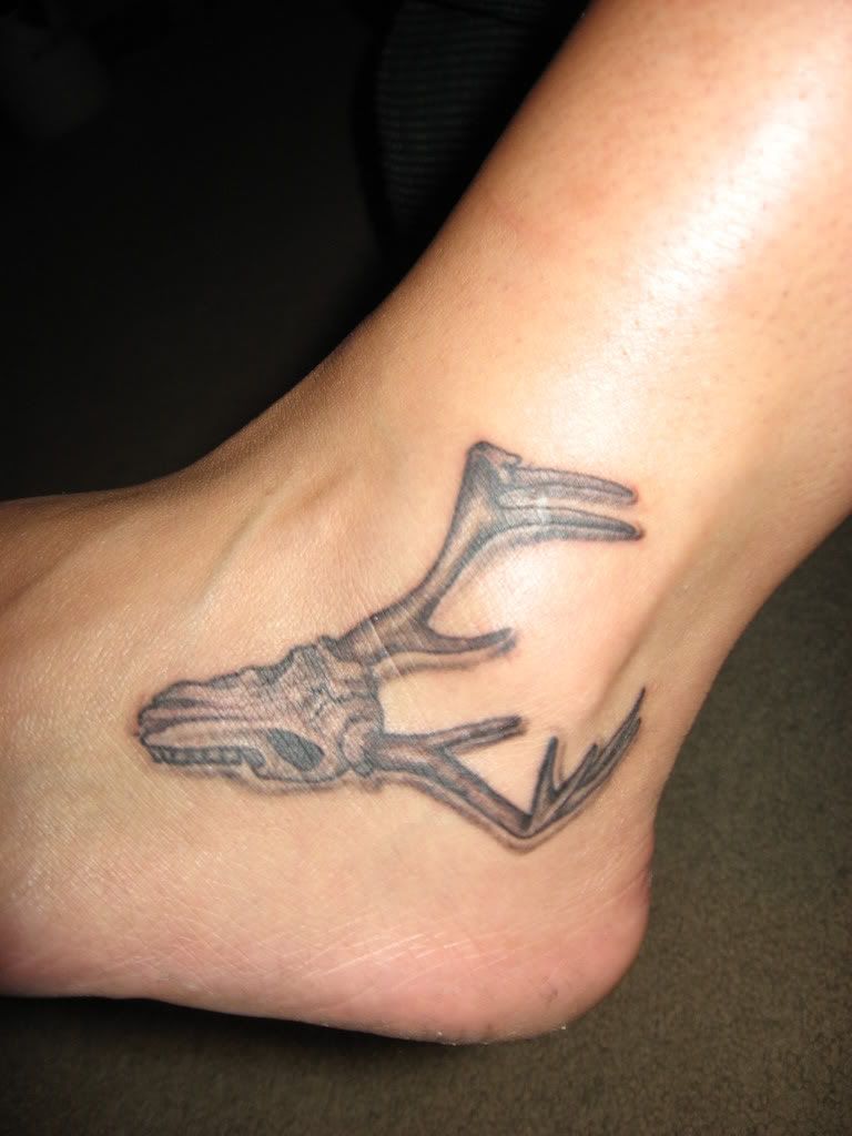 tat2.jpg