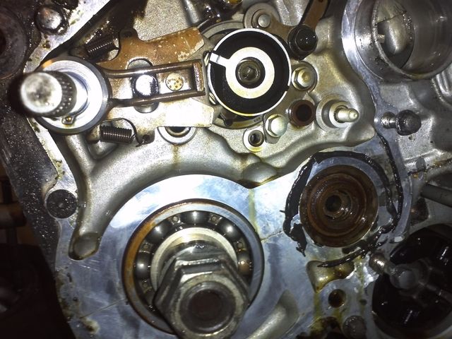 IMG297_zps57384603.jpg