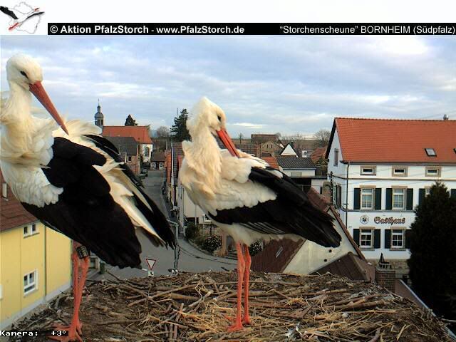 Bild