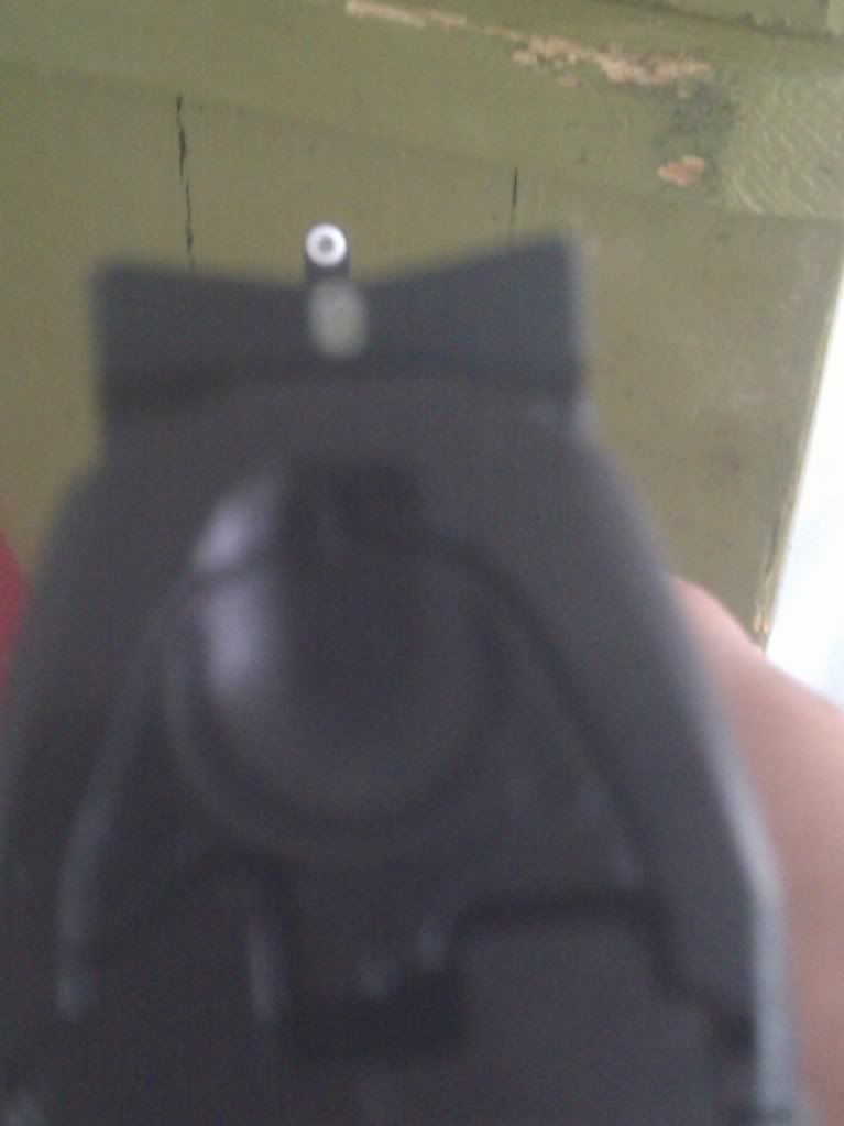 Does anybody have a picture of their PPQ with XS big dot sights