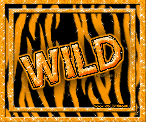 CLICK HERE TO GET THIS COMMENT CODE! 0_attitude_wild_zebra.gif