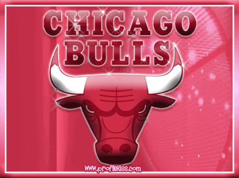 chicago bulls. Chicago Bulls Basketball Team